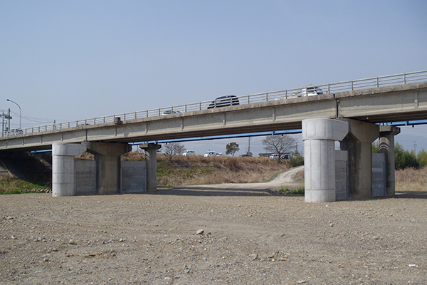 主要地方道桑名大安線道路 交通安全対策工事(念仏大橋橋梁下部工)(発注者:三重県)
